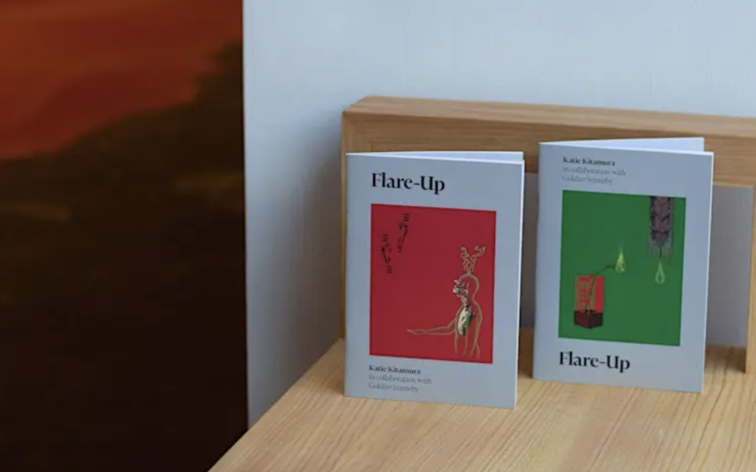 March 5 @ 6:00 PM | MIT LIST Arts Center: Katie Kitamura presenting Flare-Up in conversation with David Levine